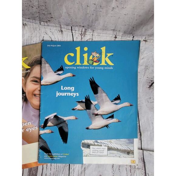 Lot of 4 Click Childrens Learning Magazine Cricket Classroom Homeschool 2004 - Picture 4 of 5